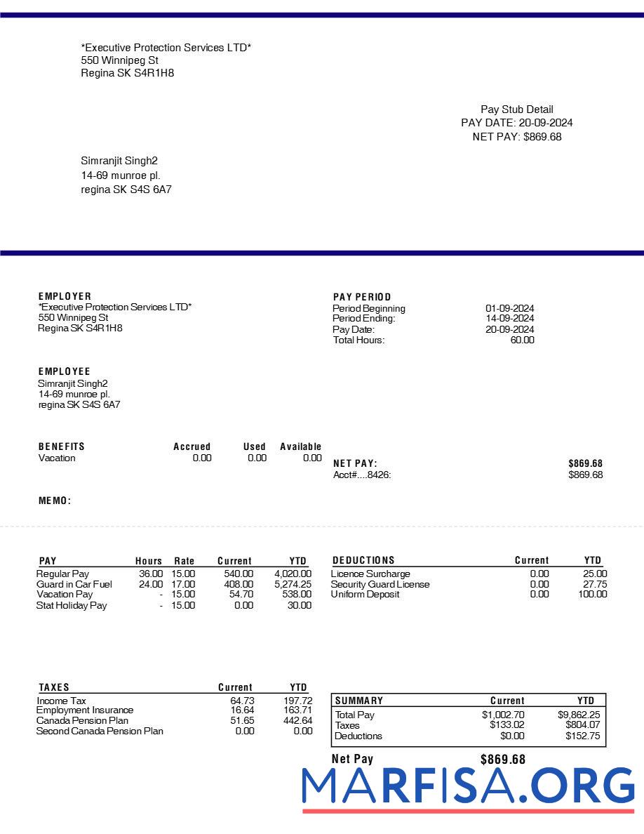 Realistic Executive Protection Services LTD pay stub sample